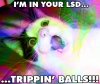 trippin_balls.jpg