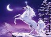 unicorn-11273.jpg