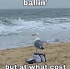 ballin-but-at-what-cost-seagull-wearing-jordans-meme.jpg