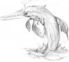 narwhal_by_aburnier.jpg