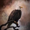 looking-forward-eagle-art-jordan-blackstone.jpg