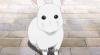 Rabbit.png