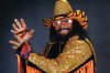 macho-man-randy-savage-1_crop_exact.jpg