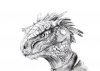 argonian_face__scanned_version__by_spynder4-d641i2p.jpg