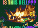 weather-florida.gif