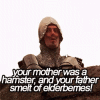 montypython-montypythonquestfortheholygrail.gif