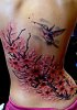 19-hummingbird-cherry-blossom-back-tattoo.jpg