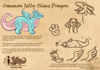 common-jelly-slime-dragon-info-sheet-mark.png