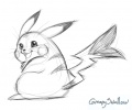 GrumpySwallowPikachu.png