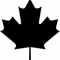 A Dark Maple Leaf