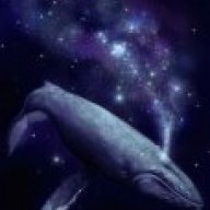 Galaxy whale