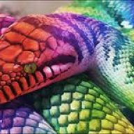 RainbowSnake