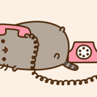 Pusheen