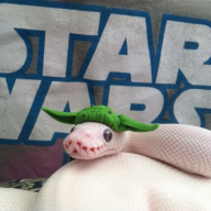 Yoda Snek