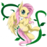 fluttershy6277