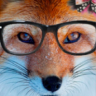 heatherthe4eyedfox