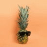 Pineapple_Hurt