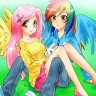 x Equestria x