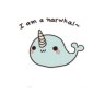 pocketnarwhal