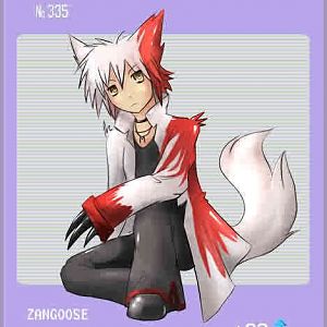 Zangoose pokemon Zeta