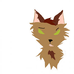 Sparrowpaw Head Profile