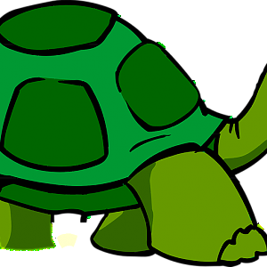 Tortoise