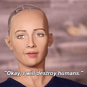 Sophia-robot