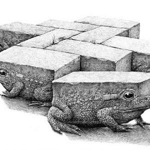 Brick Frogs