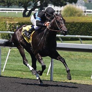 Shared Belief