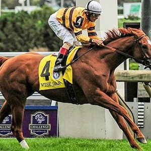 Wise Dan