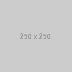 250 x 250 placeholder