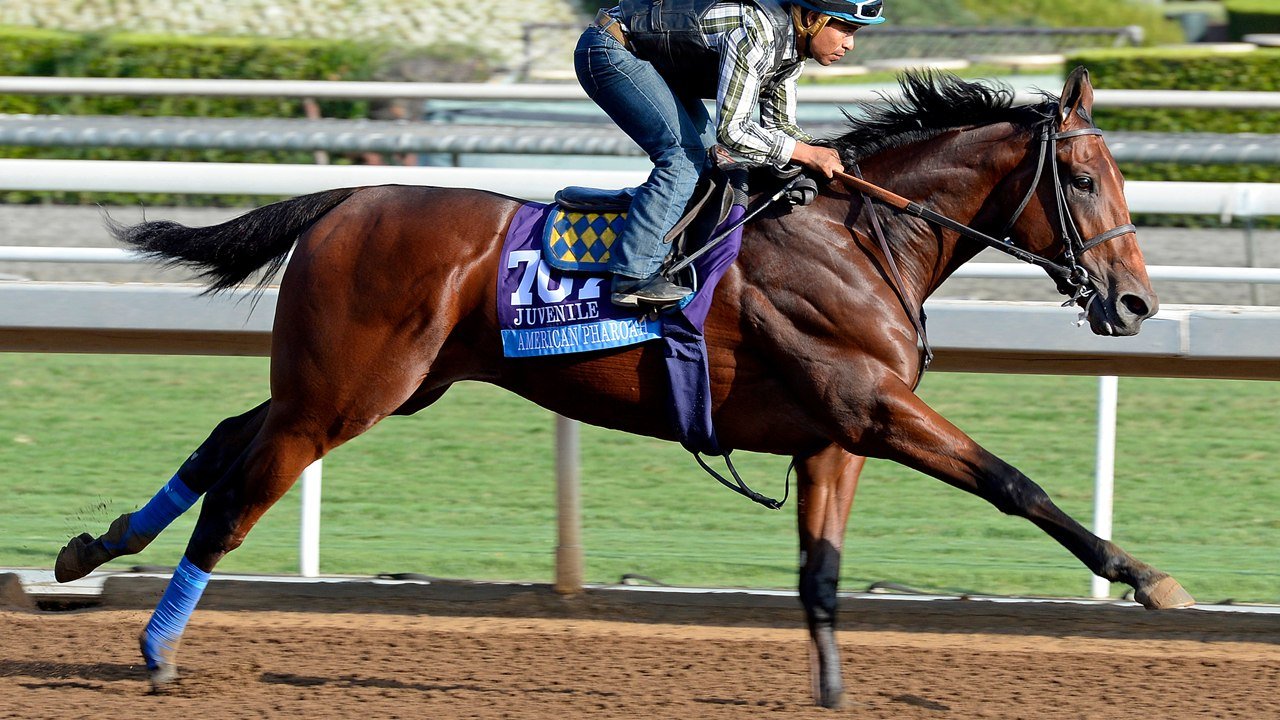 American Pharoah