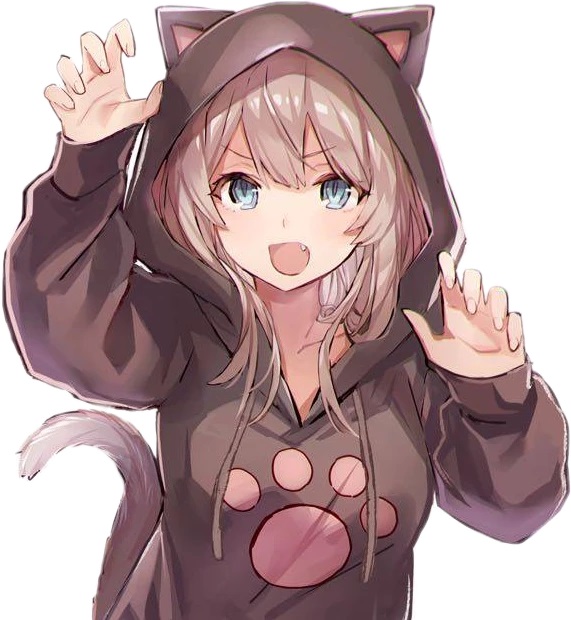 Anime Cat Hoodie Girl Rpnation