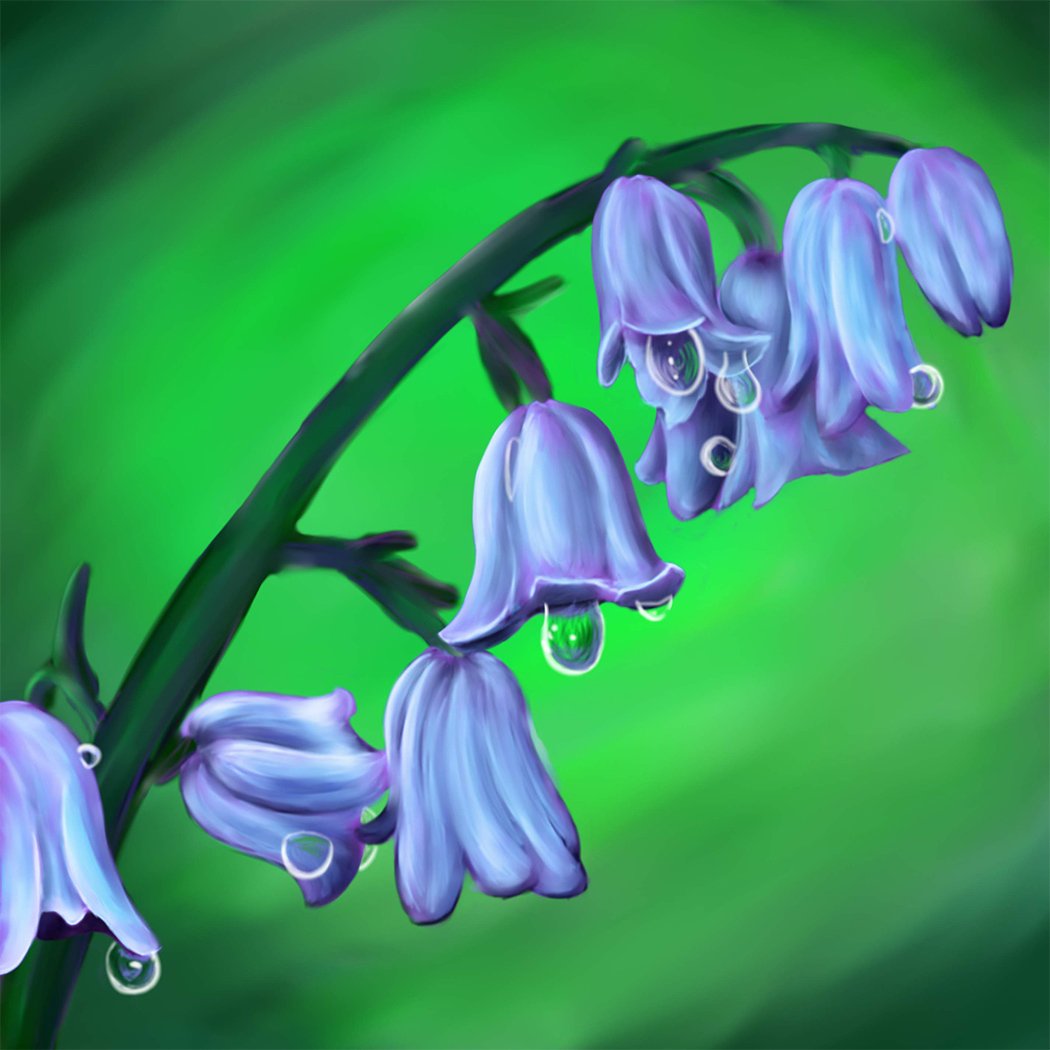 BlueBells