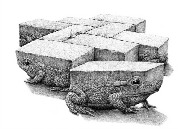 Brick Frogs