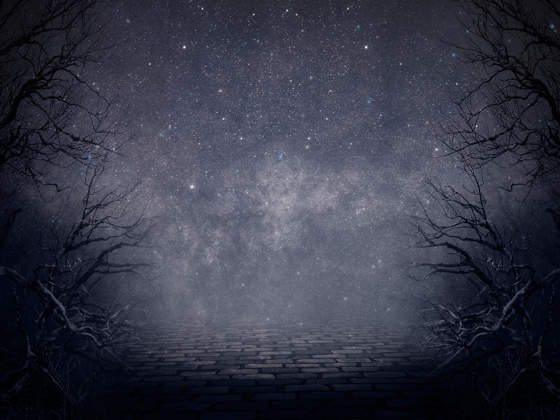 Creepy-night-forest-fantasy-background-free-thumb43