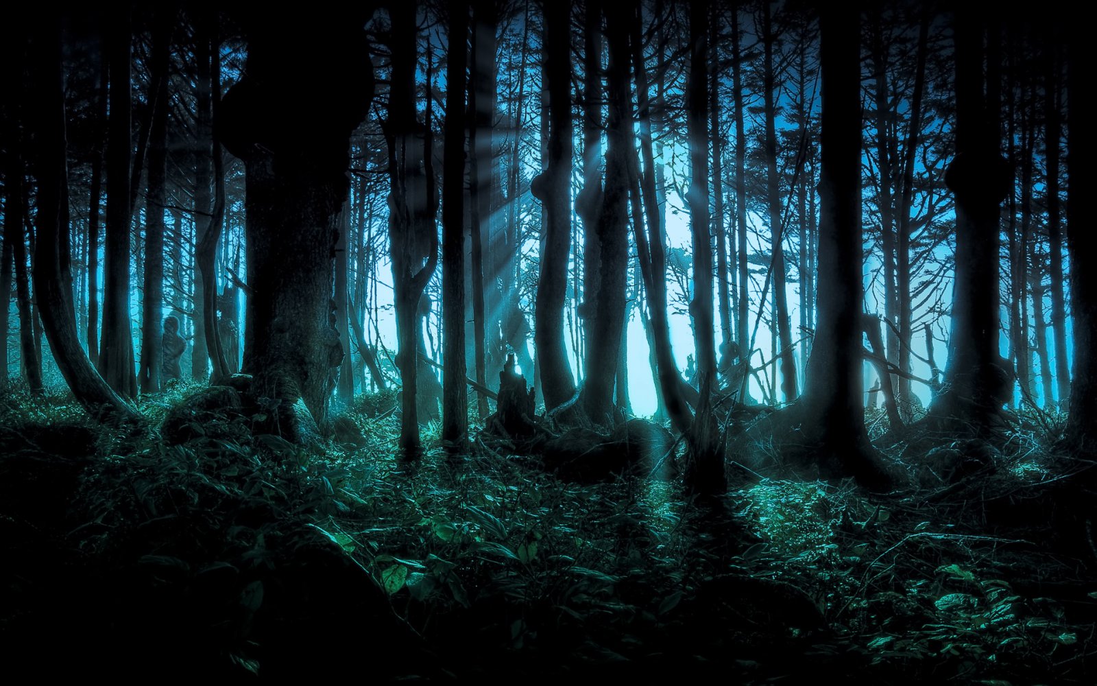 Dark-forest-wallpaper