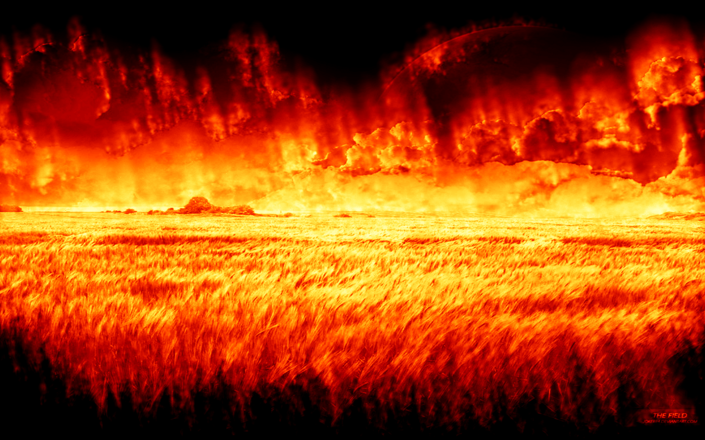 field of flame