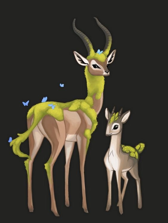 forest deers