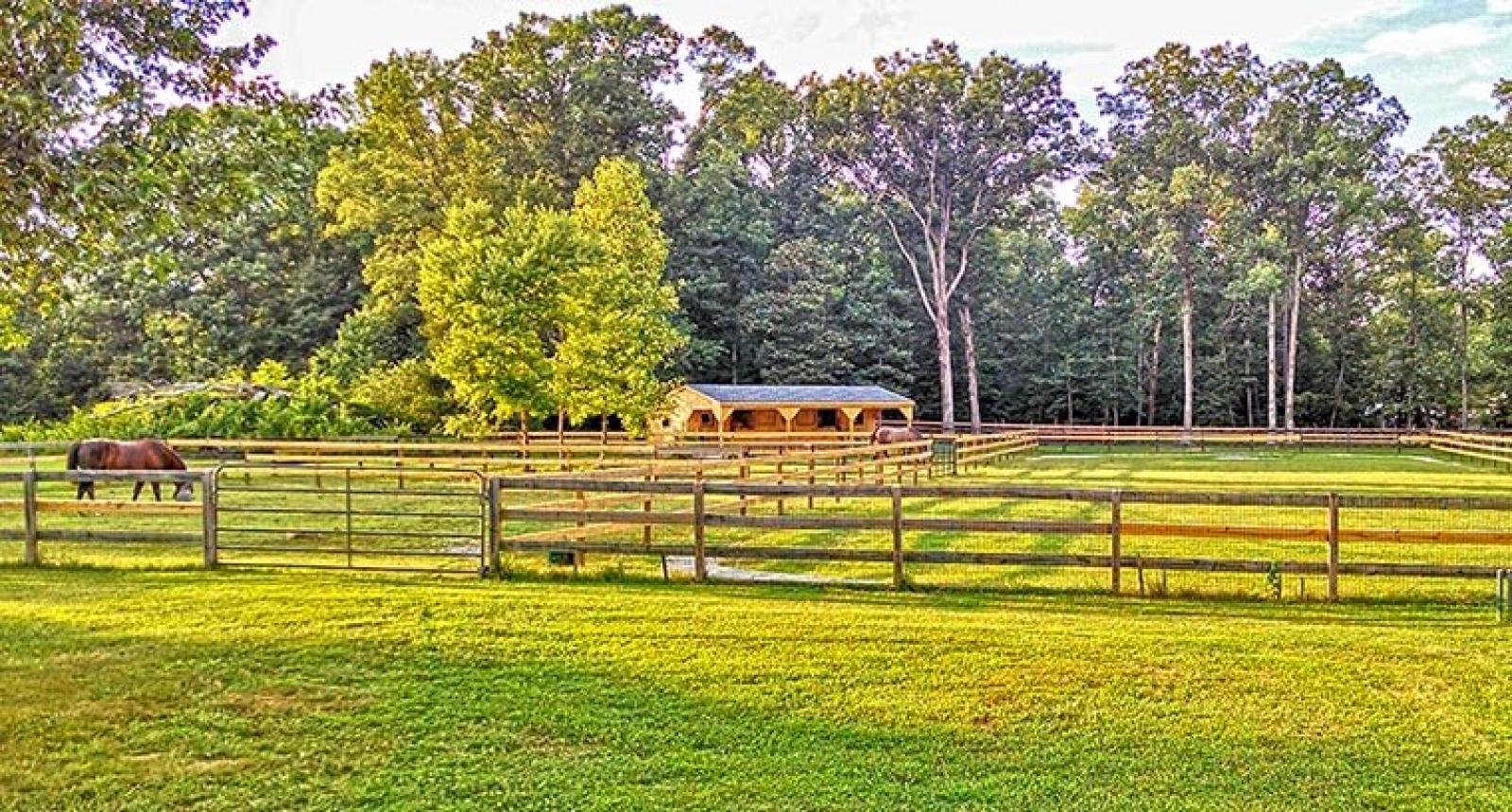 Horse-barns-shed-row-in-12x36-with-10-foot-overhang-wide-shot_0_0 ...