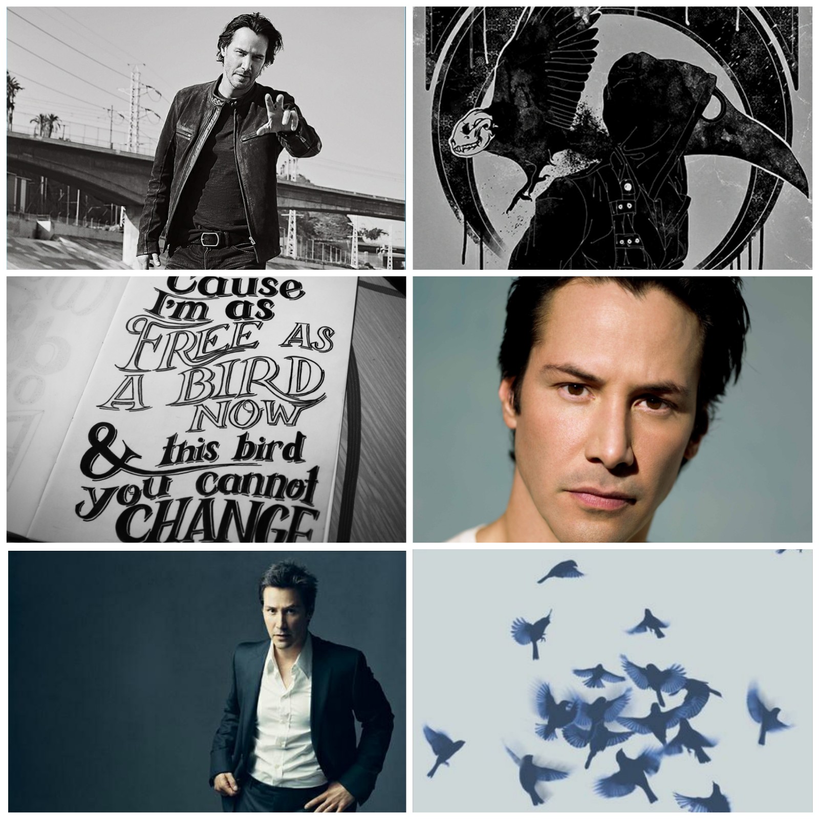 "I'm As Free As A Bird.." | Ascent Moodboard