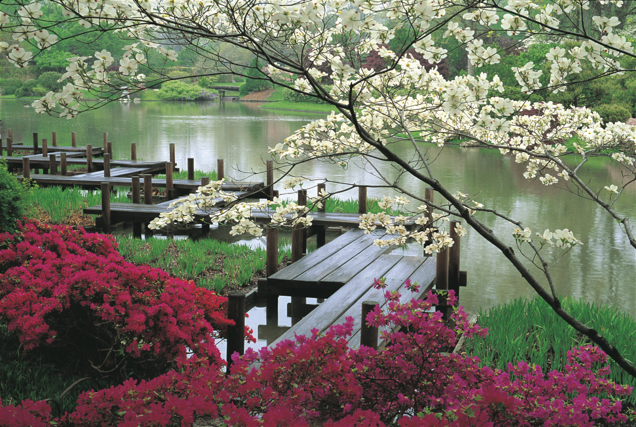 JapaneseGarden