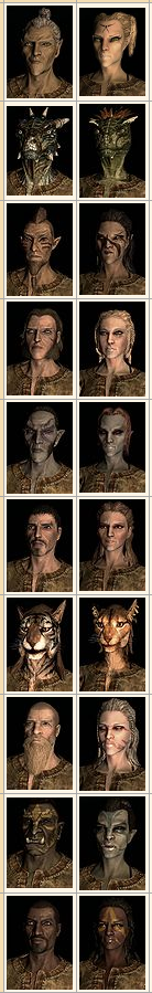 Races of Skyrim