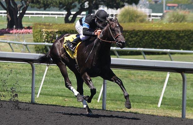 Shared Belief