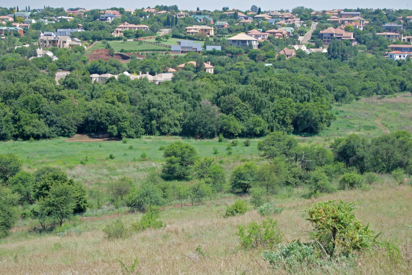 suburbia-meeting-nature.jpg