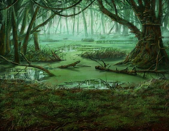 Swamp