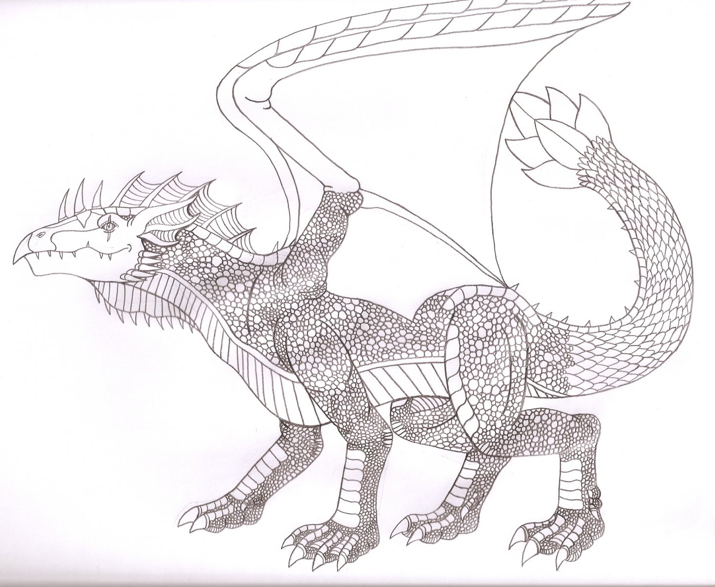 Water Dragon Design 2