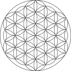 White Flower Of Life