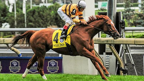 Wise Dan